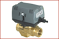 Valve 12